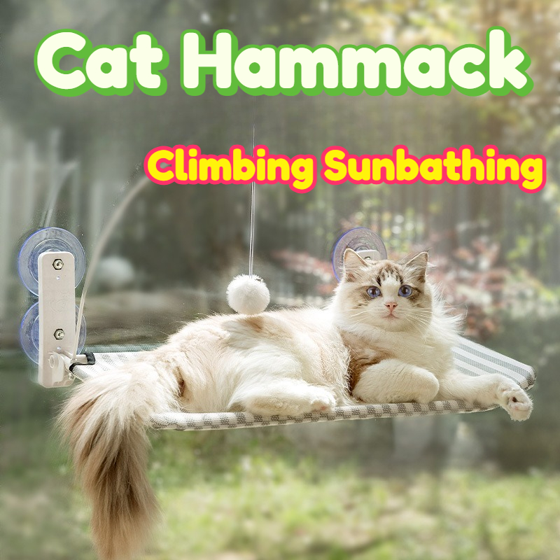 Cat Window Perch - أرجوحة للقطط تُعلق على النافذة بأكواب