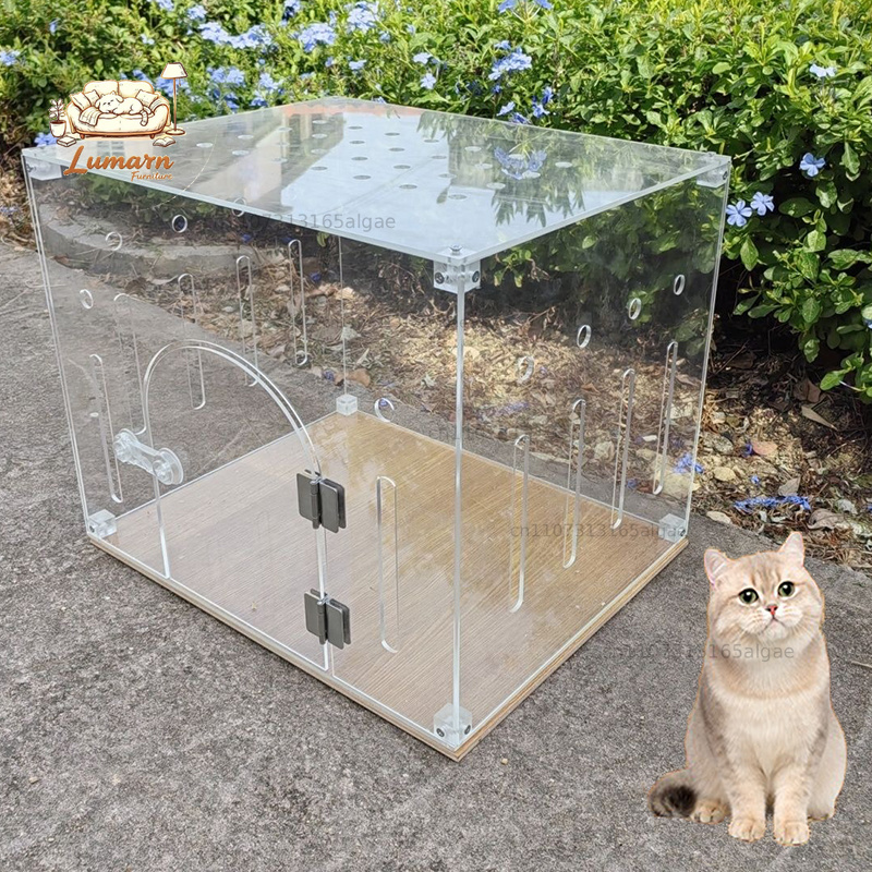 Pet Supplies In Store - قفص قطط شفاف من الأكريليك للاستخدام