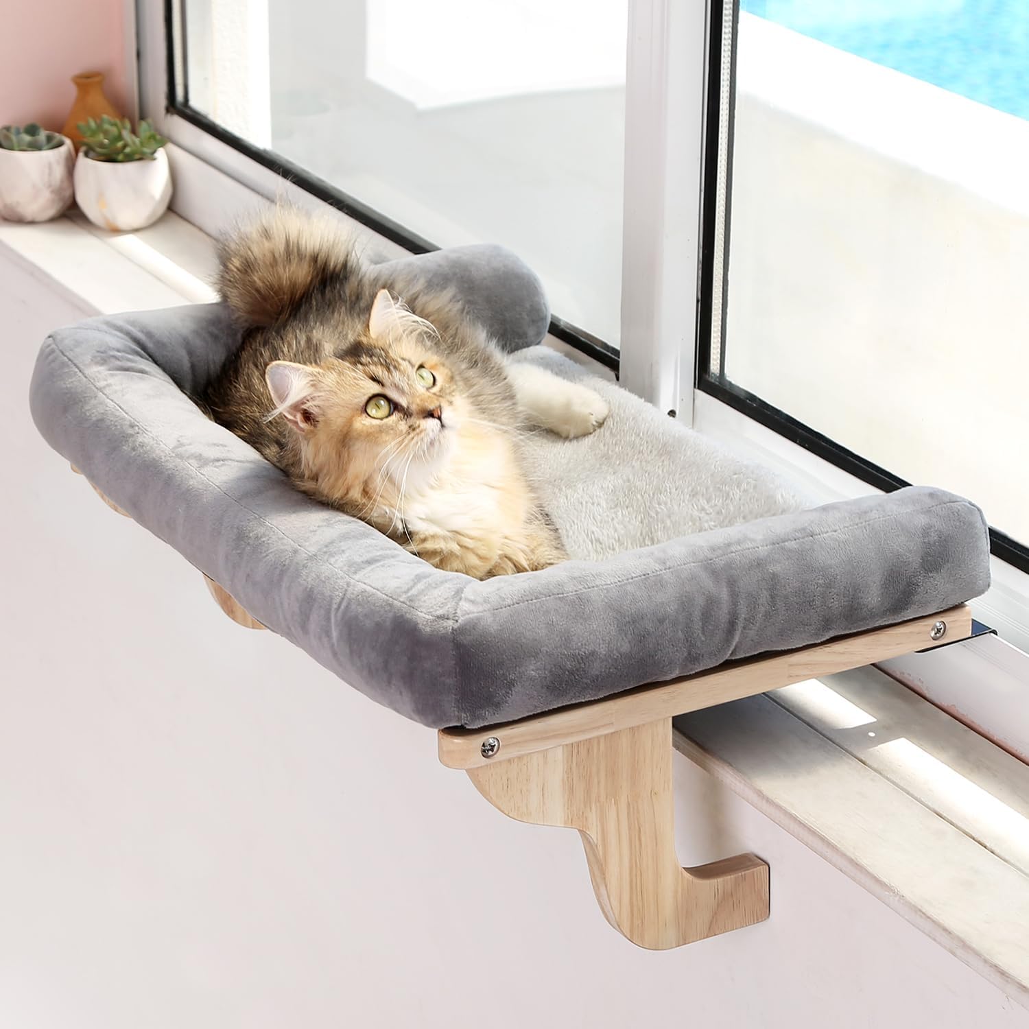 Cat Window Perch - مقعد للقطط على حافة النافذة مع