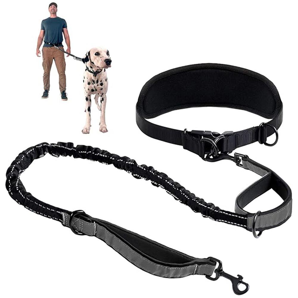 Retractable Dog Leash - الأيدي الحرة الكلب المقود الكلب الخصر
