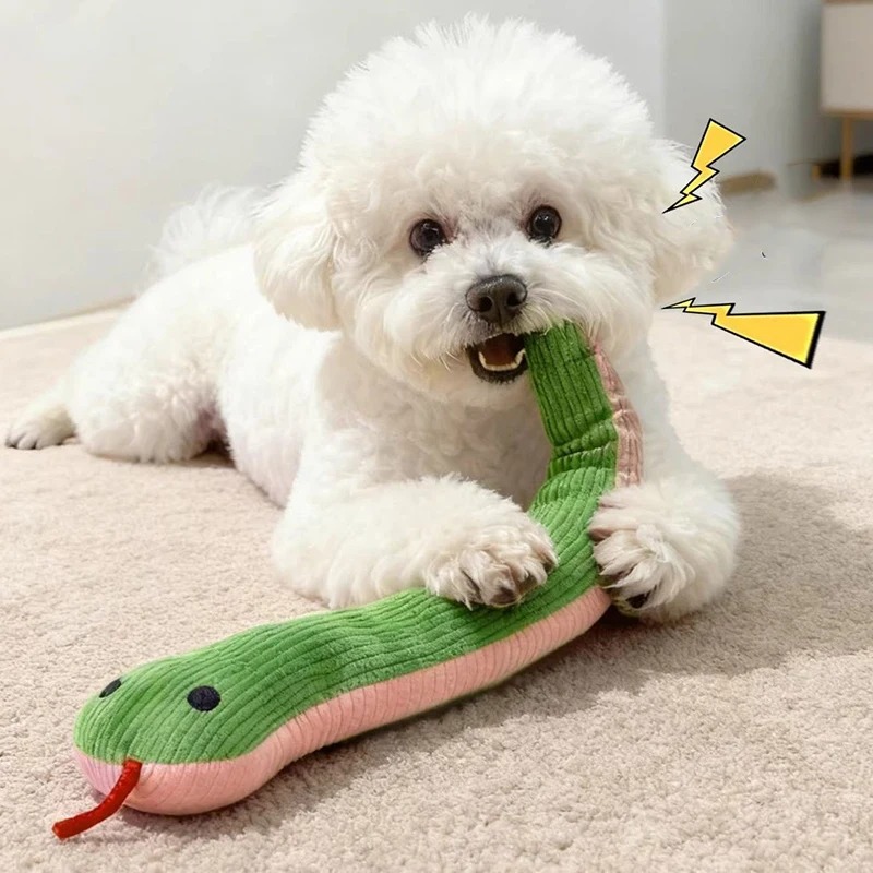 لعبة للكلاب والقطط بطول 16.5 ب - مراجعة Pet Dental Chew Toy وسعره
