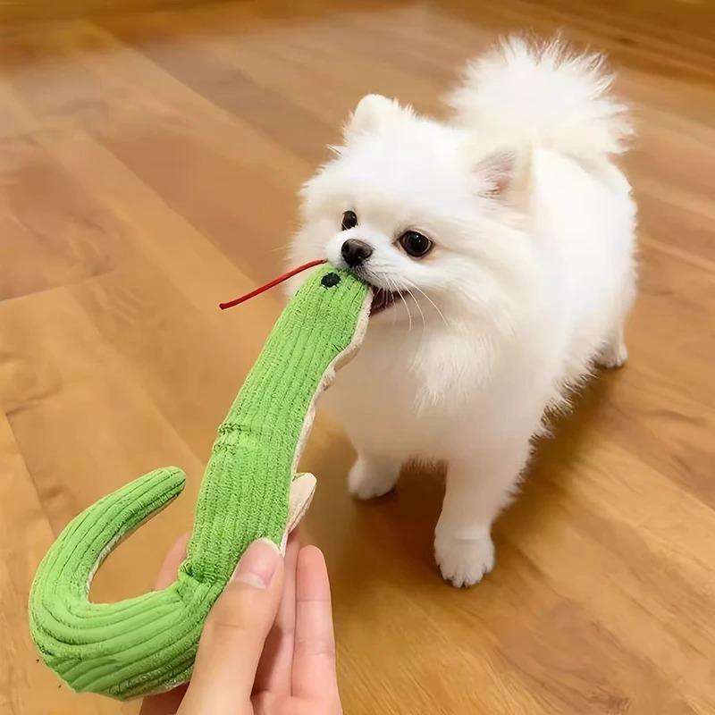 لعبة للكلاب والقطط بطول 16.5 ب - مراجعة Pet Dental Chew Toy وسعره