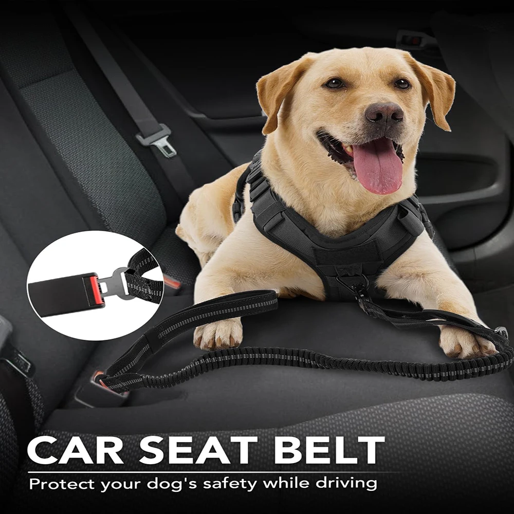 لا سحب الكلب المقود عاكس امتصا - مراجعة Retractable Dog Leash وسعره