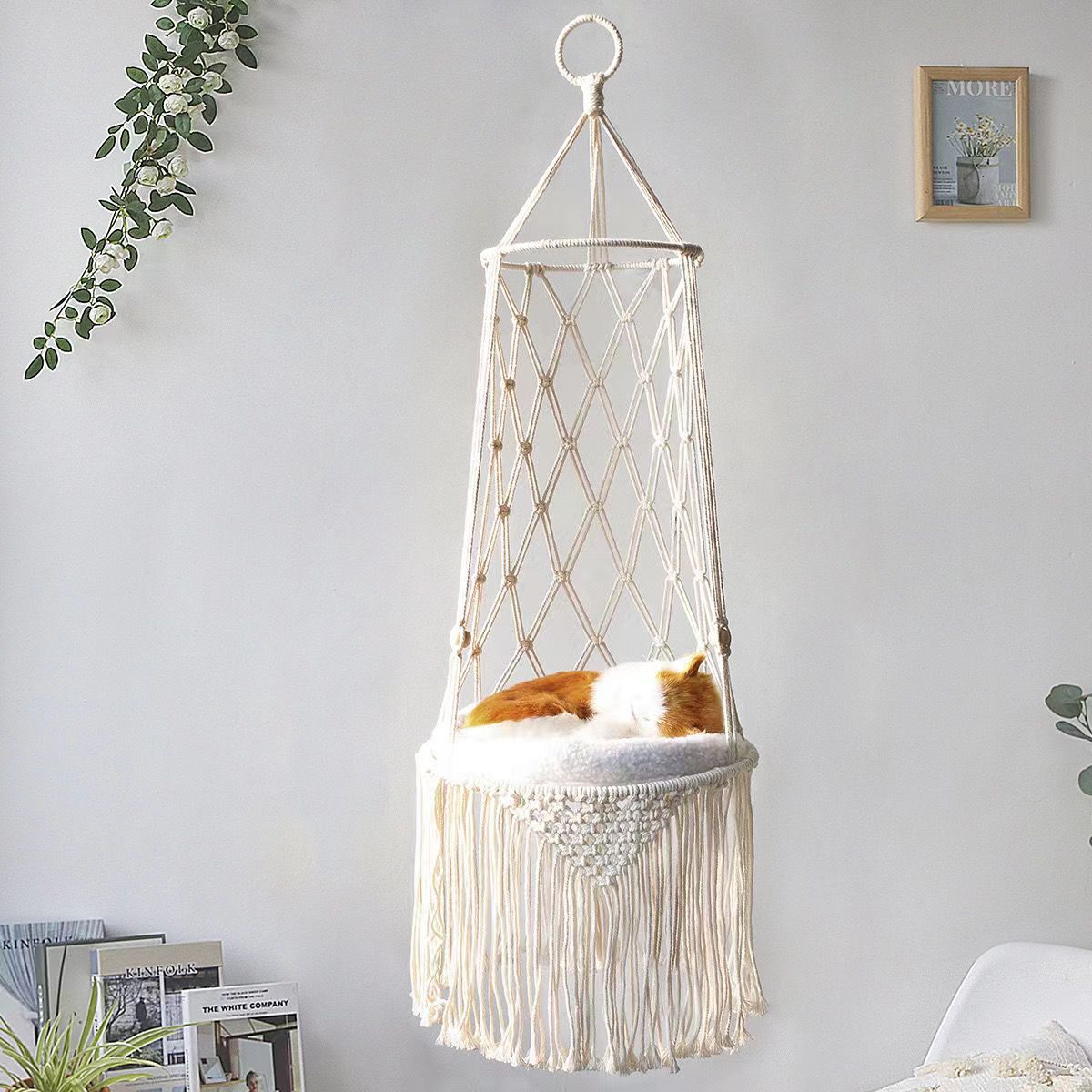 جثم نافذة القطط الشتوية، أرجوح - مراجعة Cat Window Perch وسعره