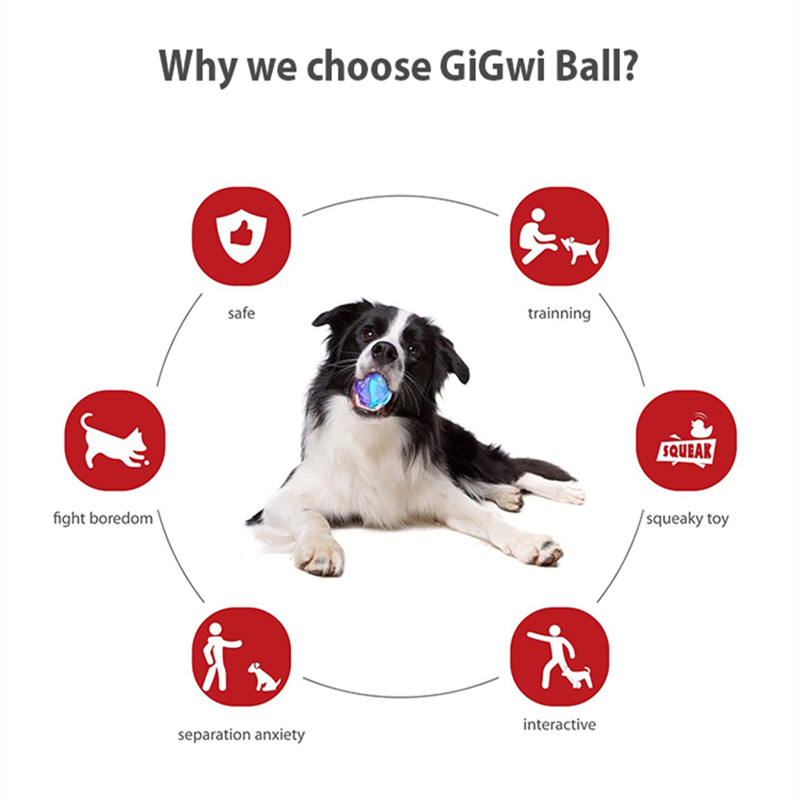 ألعاب مطاطية للكلاب الصغيرة وا - مراجعة Pet Dental Chew Toy وسعره