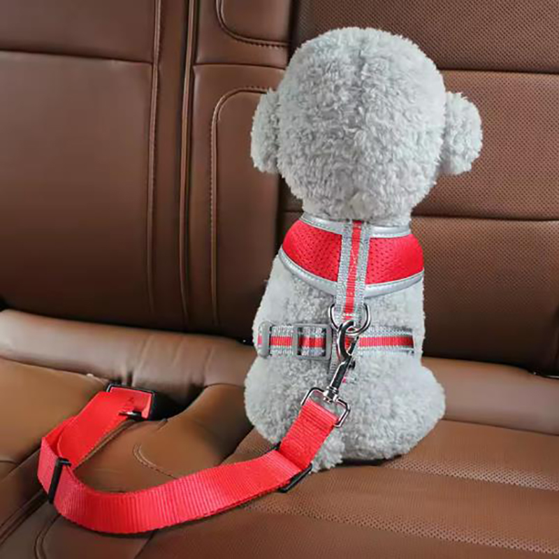 أحزمة مقعد الكلب رائجة البيع ح - مراجعة Retractable Dog Leash وسعره