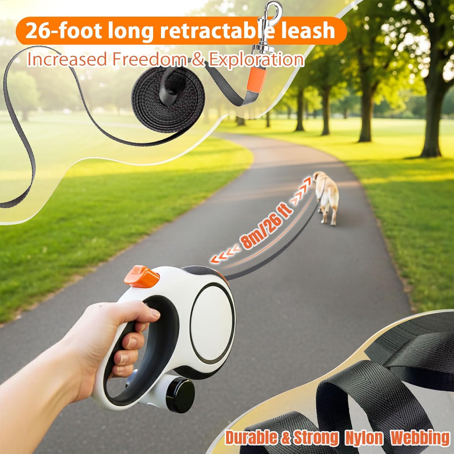 5 متر 8 متر 50 كجم الكلب المقو - مراجعة Retractable Dog Leash وسعره