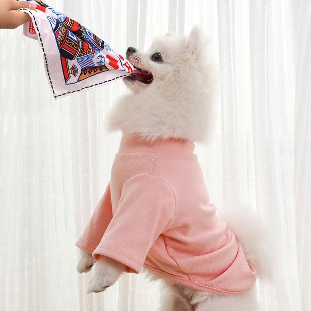 لعبة مضغ للكلاب مقاومة للتمزق  - مراجعة Pet Dental Chew Toy وسعره