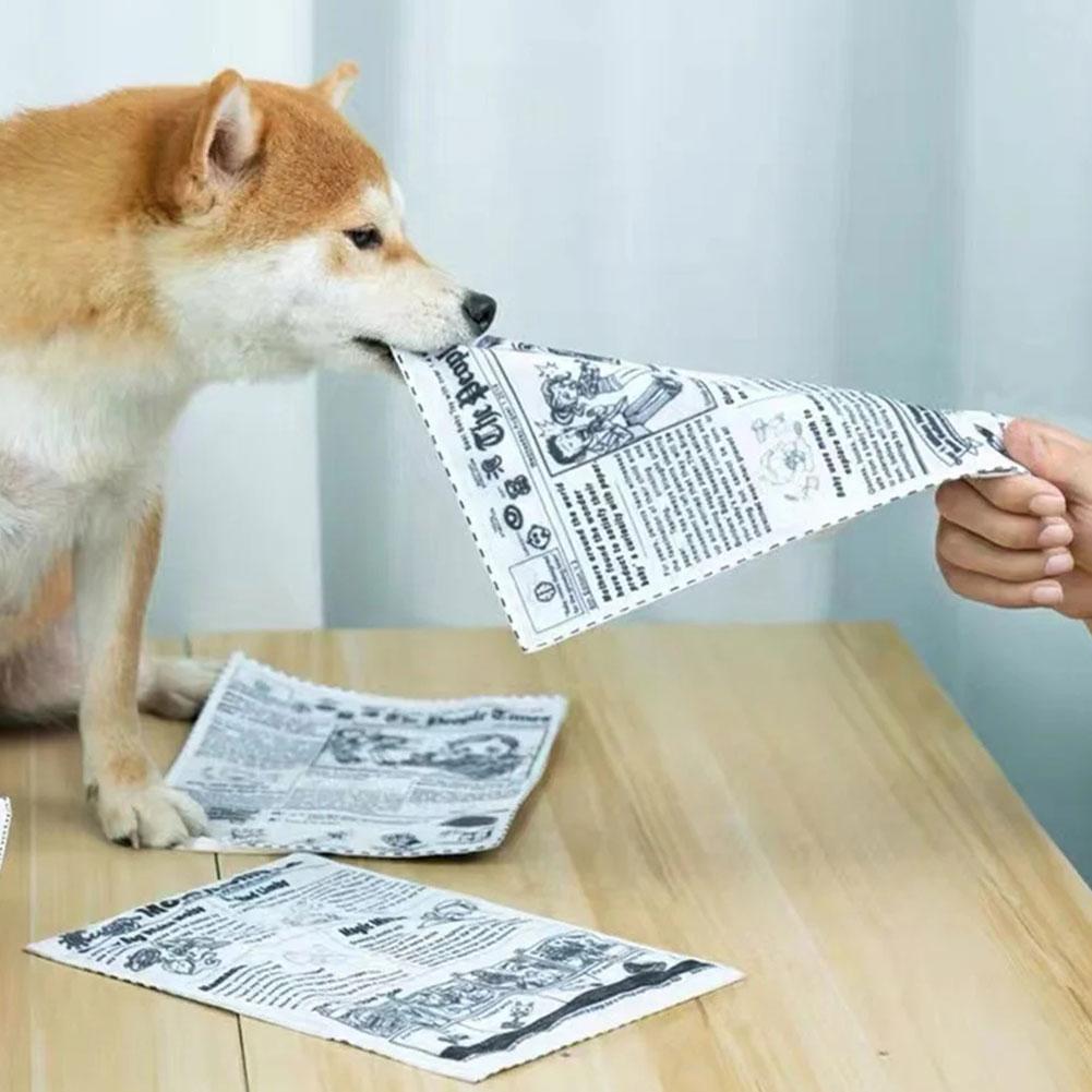 لعبة مضغ للكلاب مقاومة للتمزق  - مراجعة Pet Dental Chew Toy وسعره