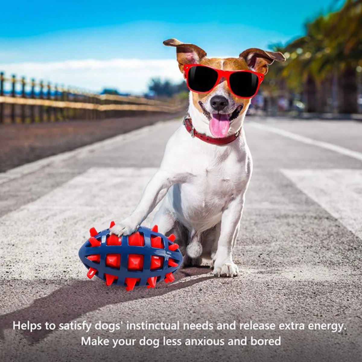 لعبة مضغ للكلاب ، كرة تفاعلية  - مراجعة Pet Dental Chew Toy وسعره