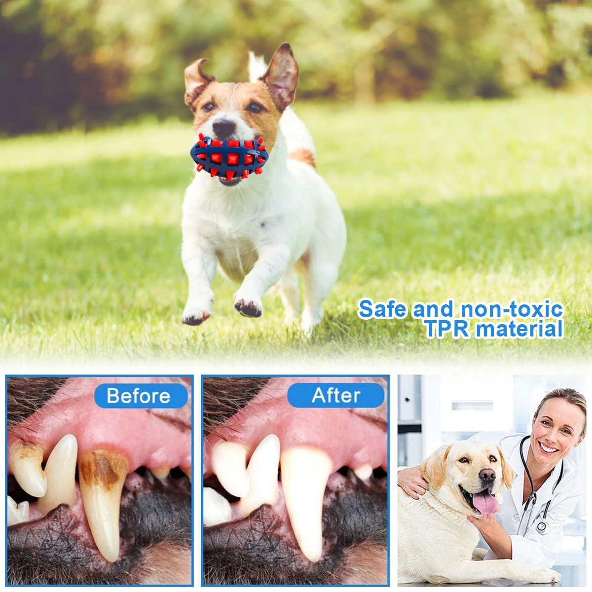 لعبة مضغ للكلاب ، كرة تفاعلية  - مراجعة Pet Dental Chew Toy وسعره