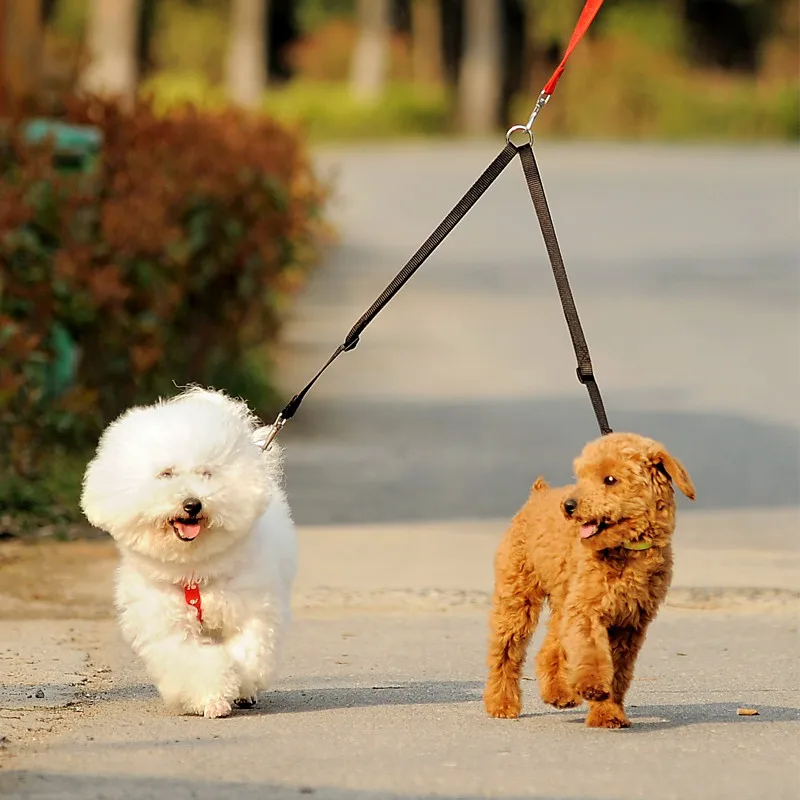 مقرنة المقود الخارجية للكلاب ، - مراجعة Retractable Dog Leash وسعره