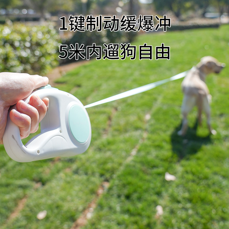 مقود حيوانات أليفة قابل للسحب، - مراجعة Retractable Dog Leash وسعره