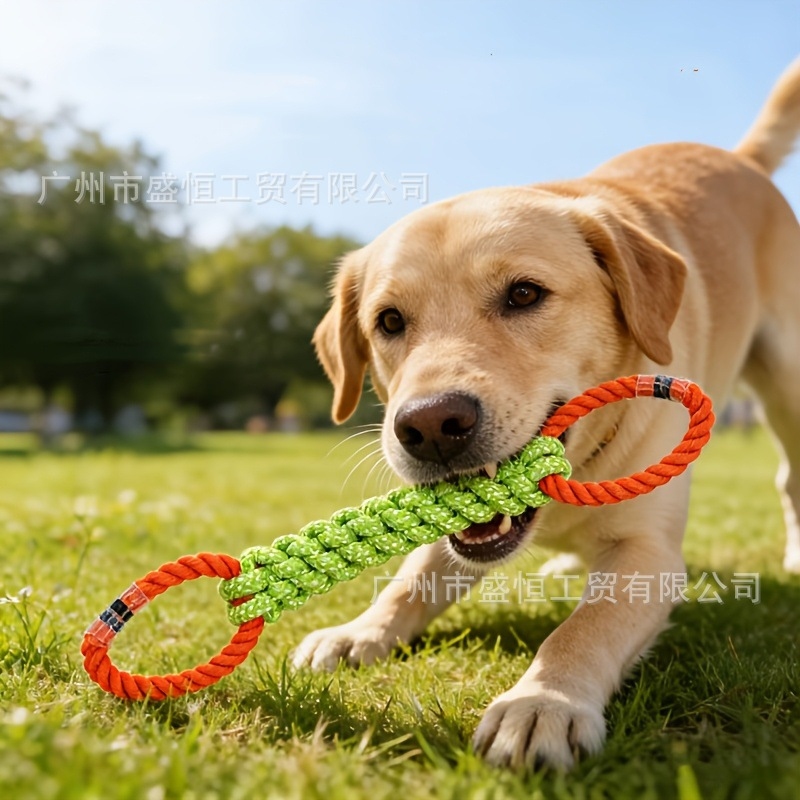 لعبة للحيوانات الأليفة من حبل  - مراجعة Pet Dental Chew Toy وسعره