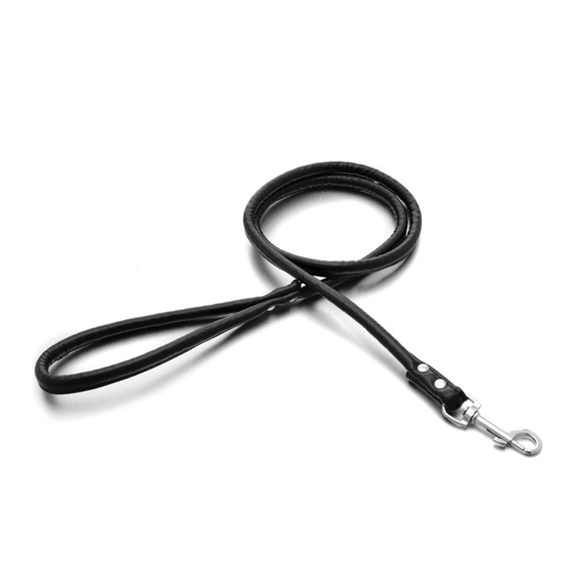 الحيوانات الأليفة القط جرو الك - مراجعة Retractable Dog Leash وسعره