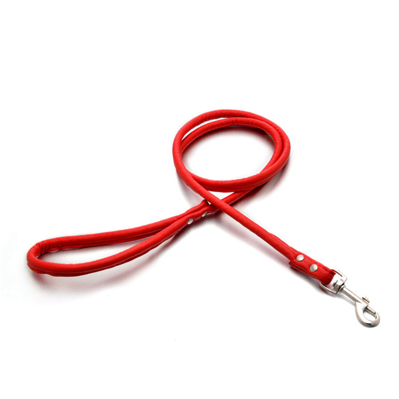 الحيوانات الأليفة القط جرو الك - مراجعة Retractable Dog Leash وسعره