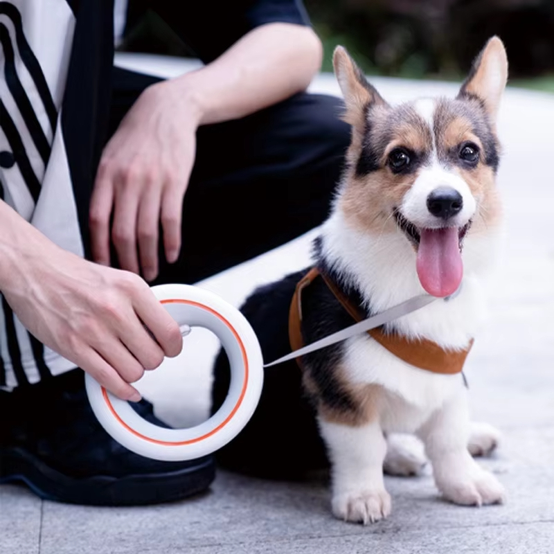 موستار يو إف أوتيبشنز إسهول قل - مراجعة Retractable Dog Leash وسعره