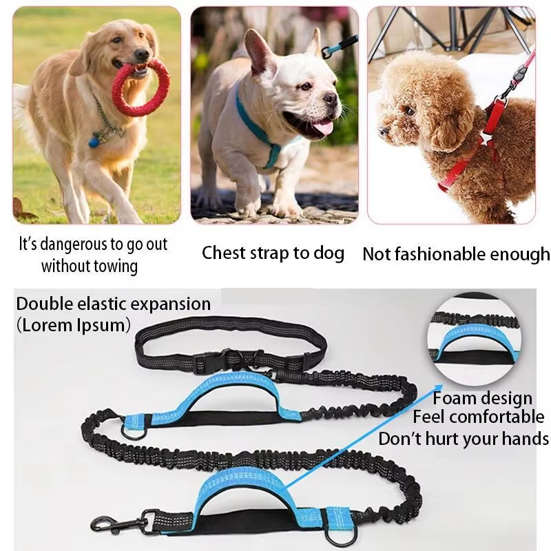 حبل جري مرن مزدوج عاكس للضوء،  - مراجعة Retractable Dog Leash وسعره
