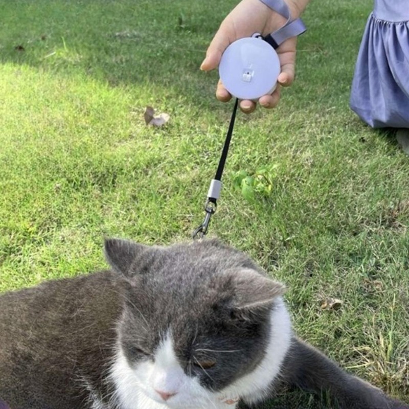 2 متر/3 متر قابل للسحب مقود كل - مراجعة Retractable Dog Leash وسعره