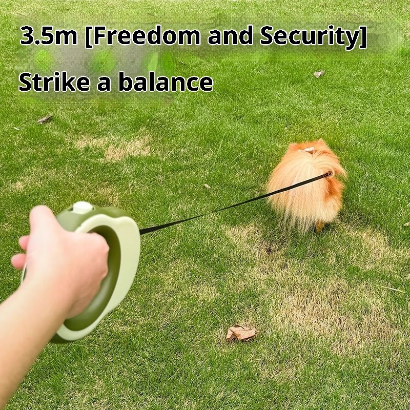   حبل قابل للسحب للكلاب بطول 3 - مراجعة Retractable Dog Leash وسعره