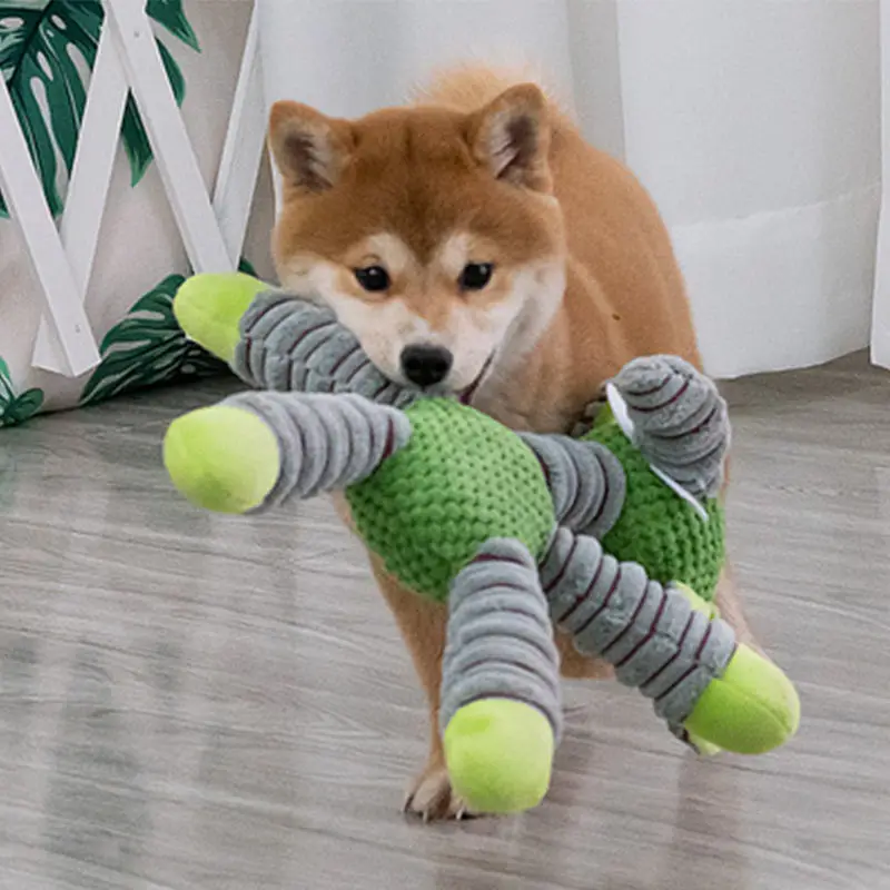 ألعاب كلاب غير قابلة للتلف تصد - مراجعة Pet Dental Chew Toy وسعره
