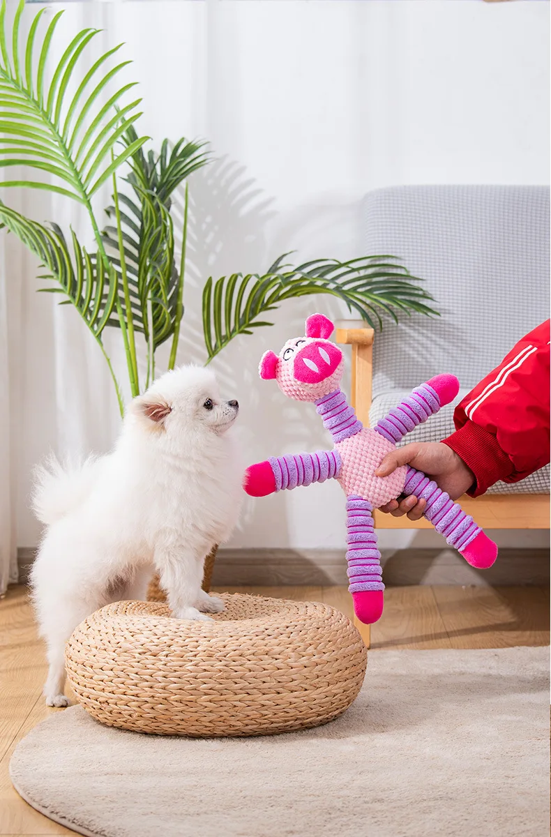 ألعاب كلاب غير قابلة للتلف تصد - مراجعة Pet Dental Chew Toy وسعره