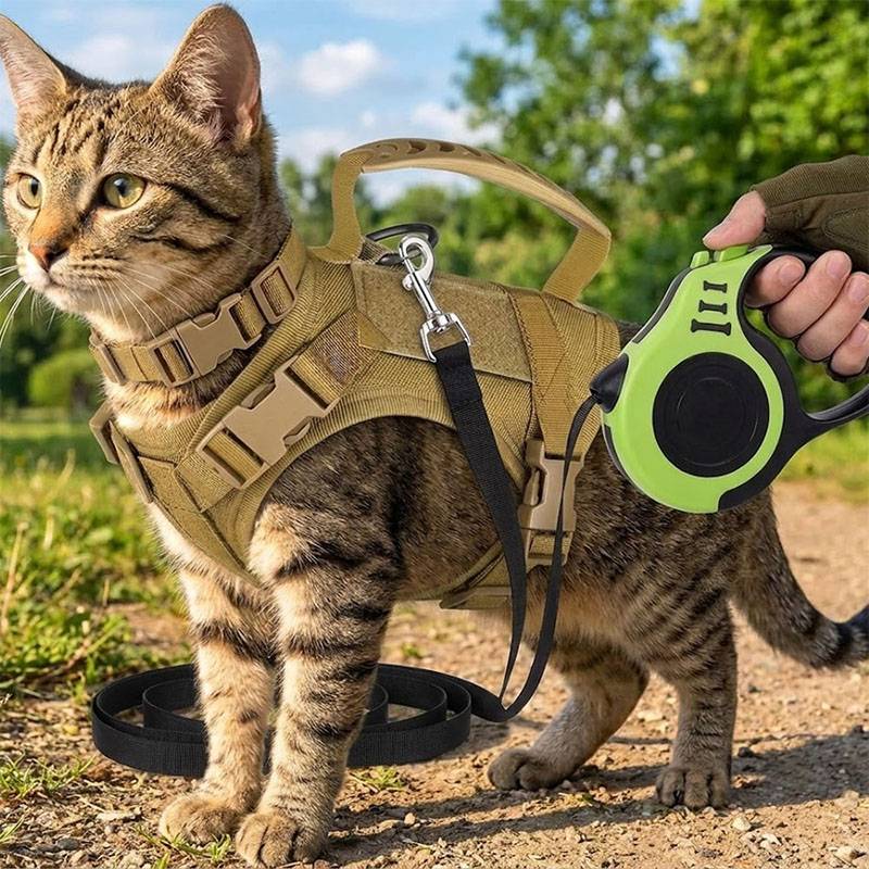 حزام تكتيكي للحيوانات الأليفة  - مراجعة Retractable Dog Leash وسعره