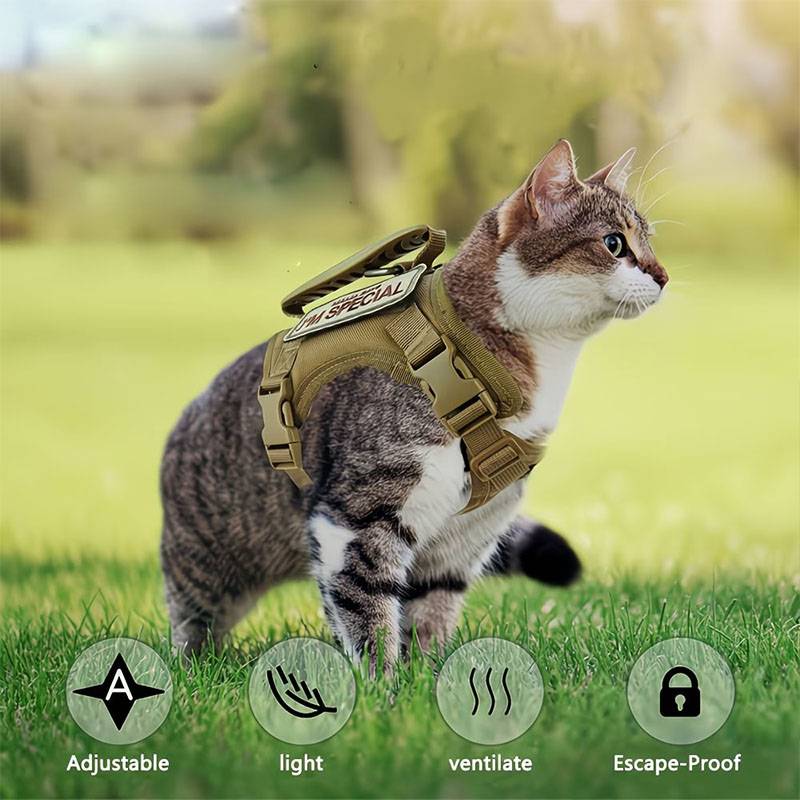 حزام تكتيكي للحيوانات الأليفة  - مراجعة Retractable Dog Leash وسعره