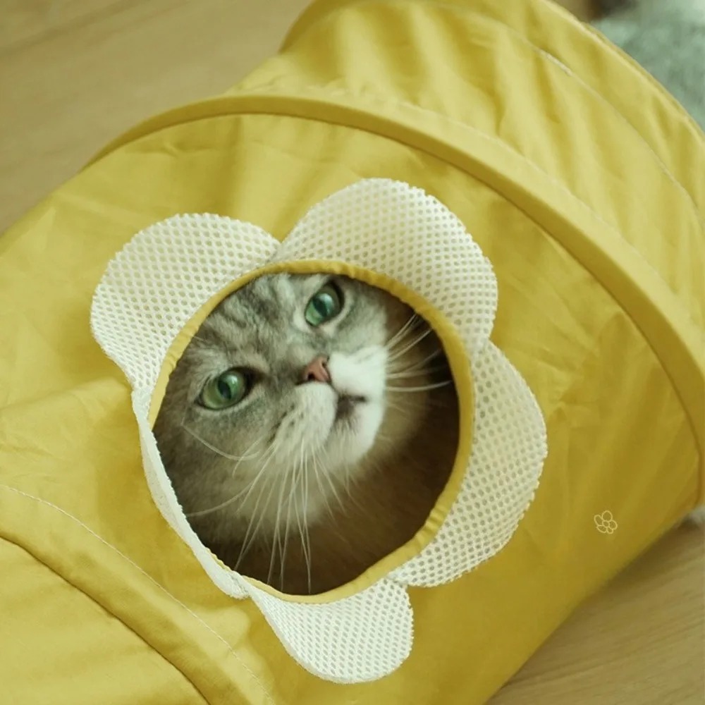 نفق قطط حلزوني قابل للطي ومحمو - مراجعة Pet Supplies In Store وسعره