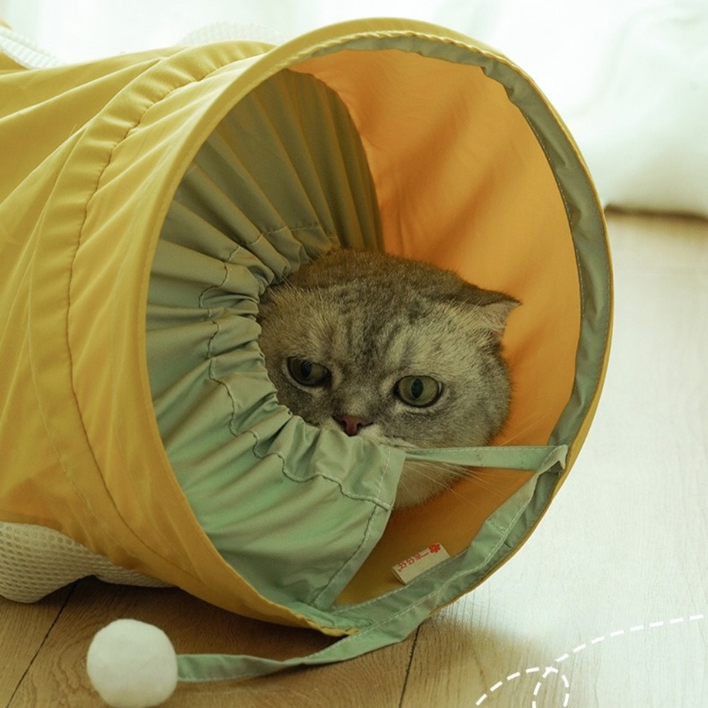 نفق قطط حلزوني قابل للطي ومحمو - مراجعة Pet Supplies In Store وسعره