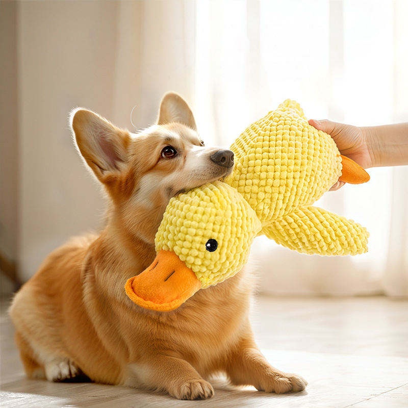 لعبة بطة قطيفة للكلاب مقاومة ل - مراجعة Pet Dental Chew Toy وسعره