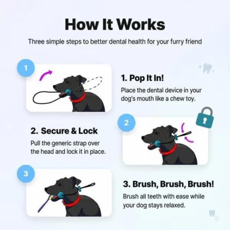 عصا مضغ للحيوانات الأليفة مزدو - مراجعة Pet Dental Chew Toy وسعره