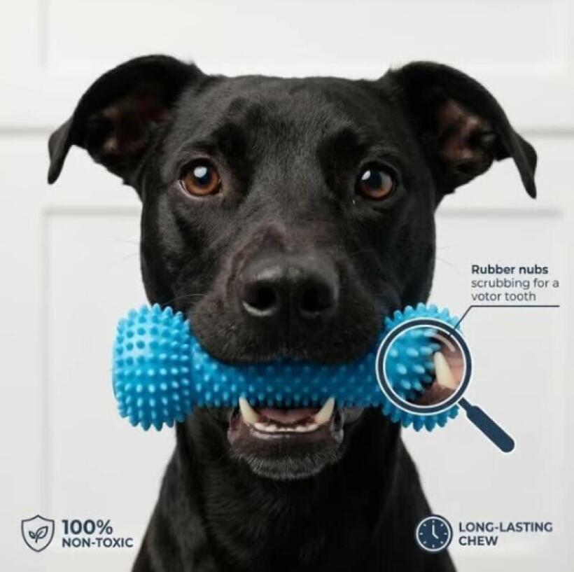 عصا مضغ للحيوانات الأليفة مزدو - مراجعة Pet Dental Chew Toy وسعره