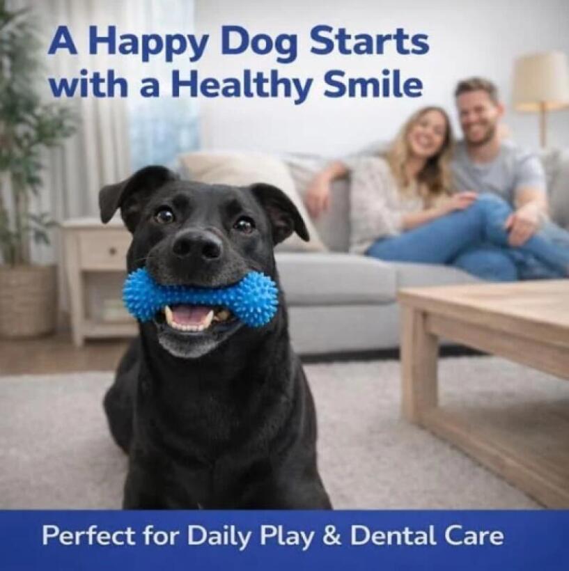 عصا مضغ للحيوانات الأليفة مزدو - مراجعة Pet Dental Chew Toy وسعره