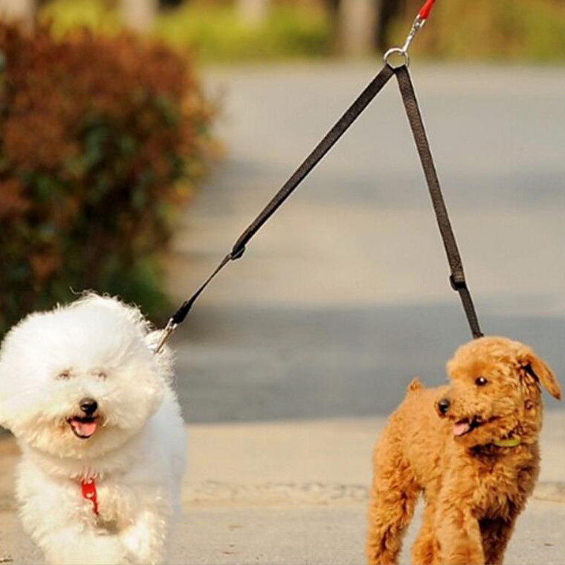 مزدوج مزدوج مزدوج مقرنة الكلب  - مراجعة Retractable Dog Leash وسعره