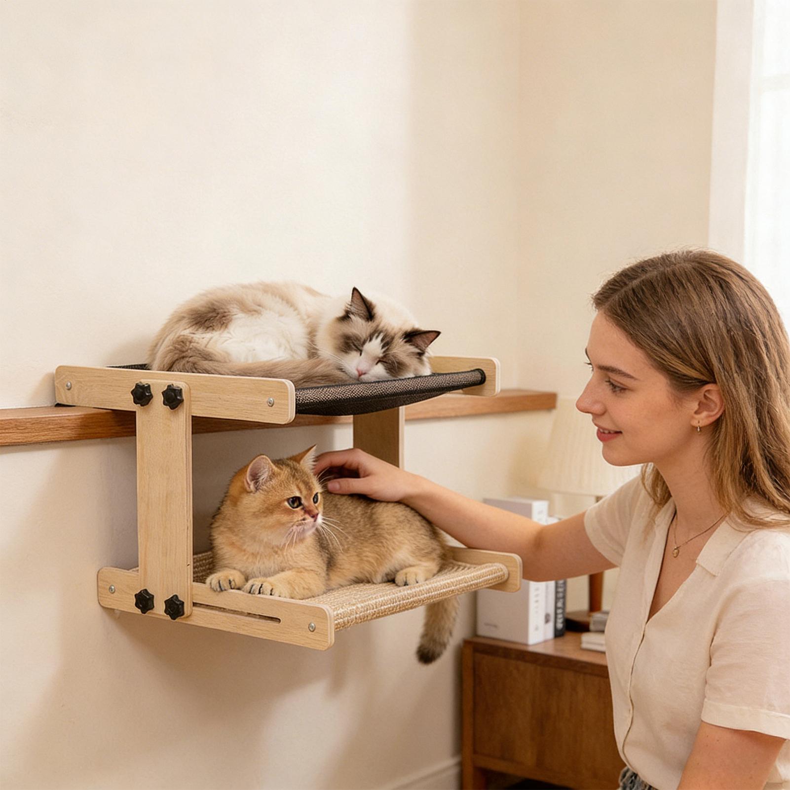 سرير نافذة للقطط، أرجوحة عائمة - مراجعة Cat Window Perch وسعره