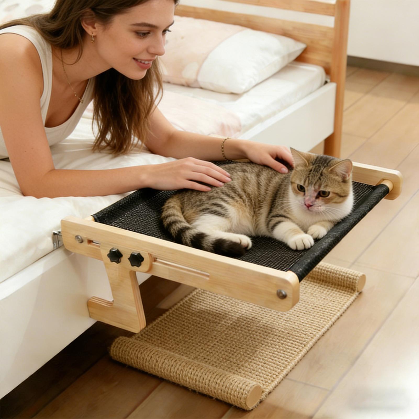 سرير نافذة للقطط، أرجوحة عائمة - مراجعة Cat Window Perch وسعره