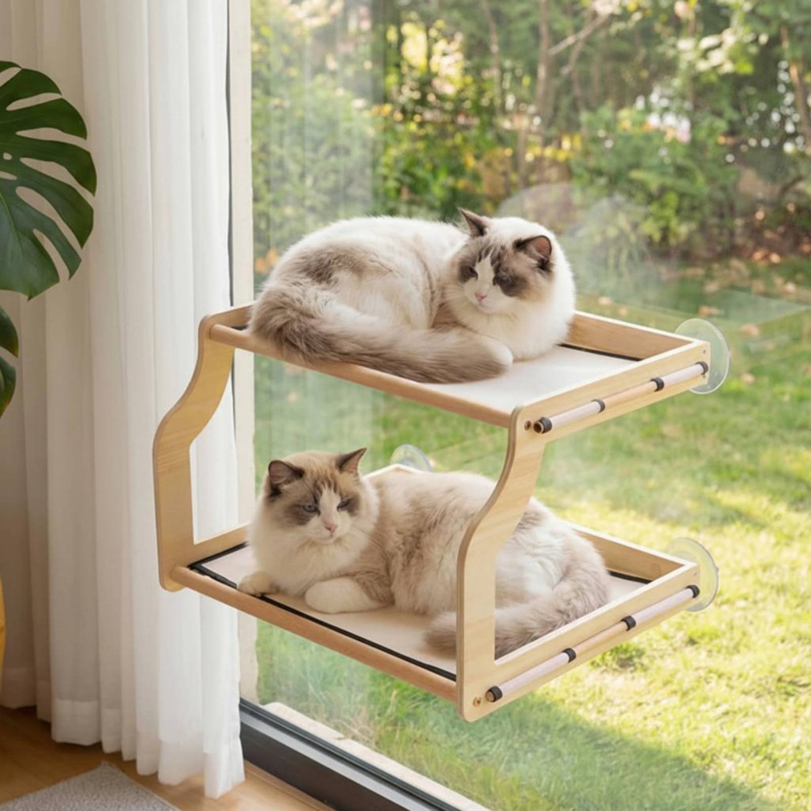 سرير قطط يثبت على النافذة، سهل - مراجعة Cat Window Perch وسعره