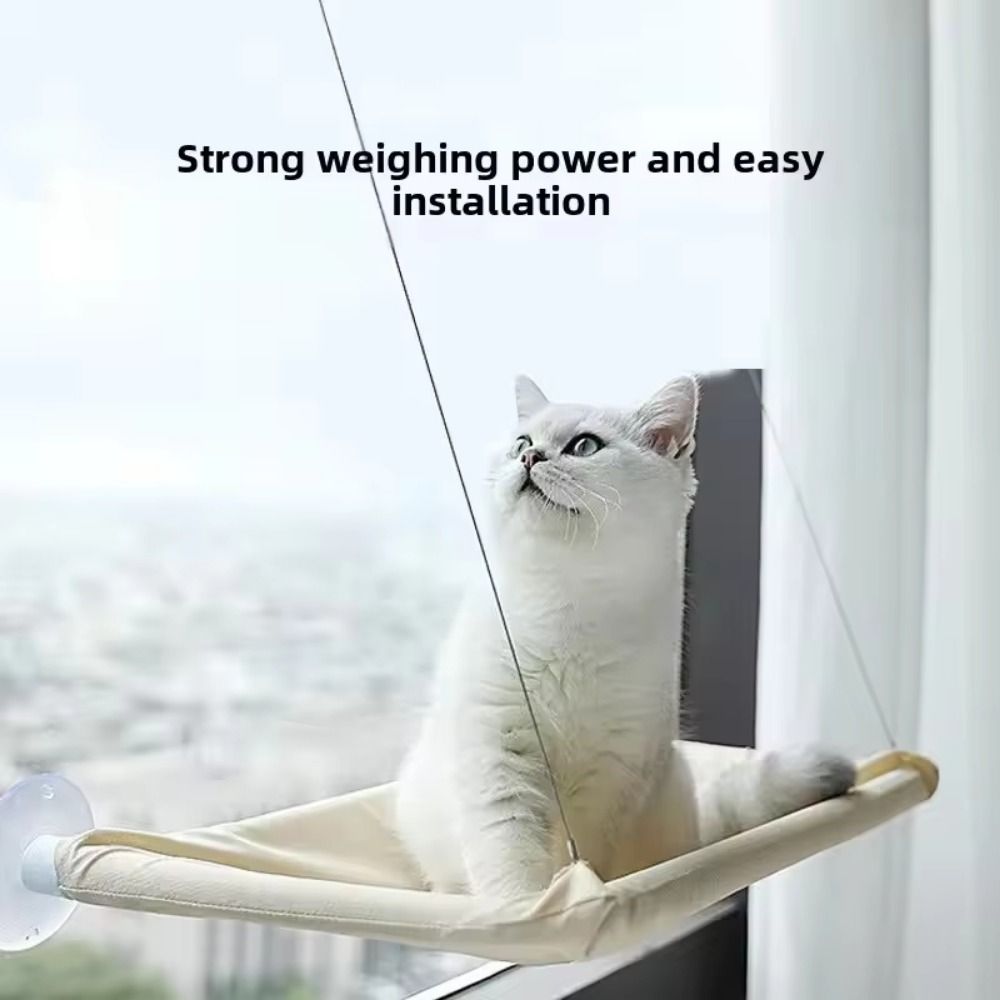 سرير قطط متعدد الوظائف معلق وم - مراجعة Cat Window Perch وسعره