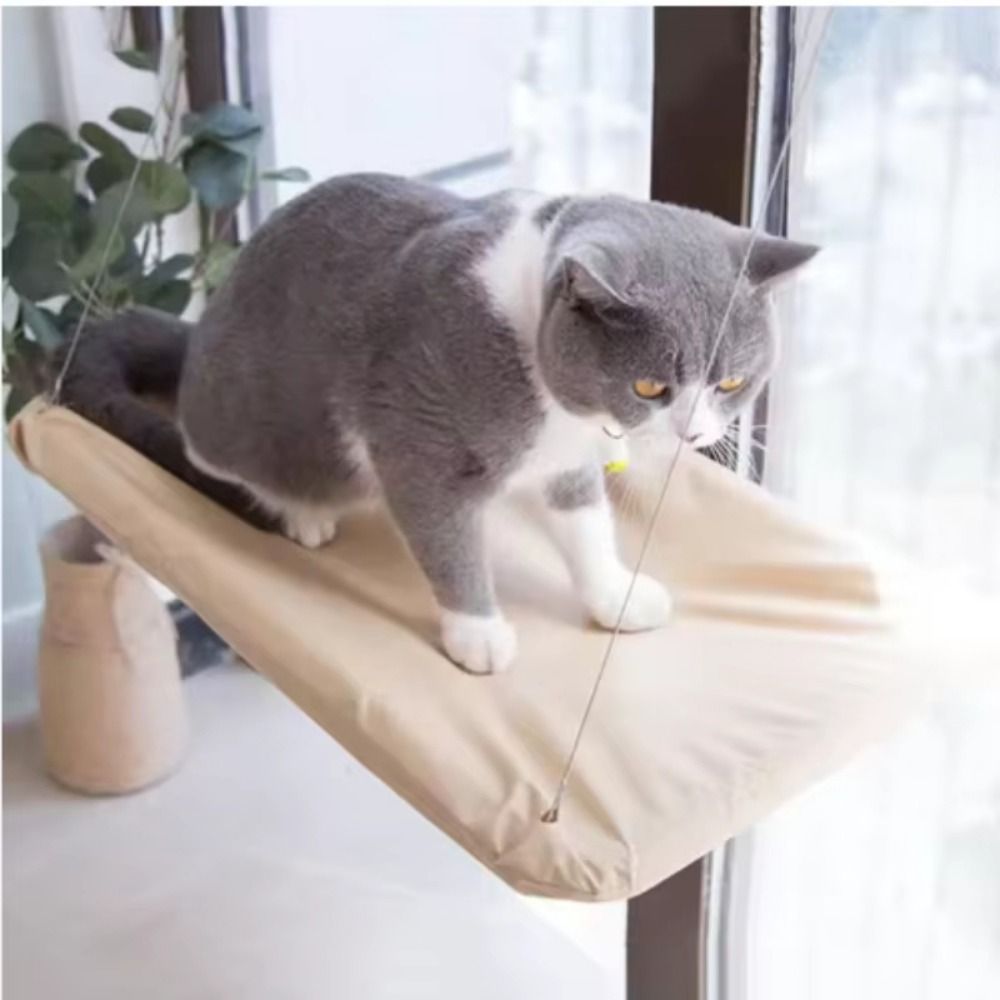 سرير قطط متعدد الوظائف معلق وم - مراجعة Cat Window Perch وسعره