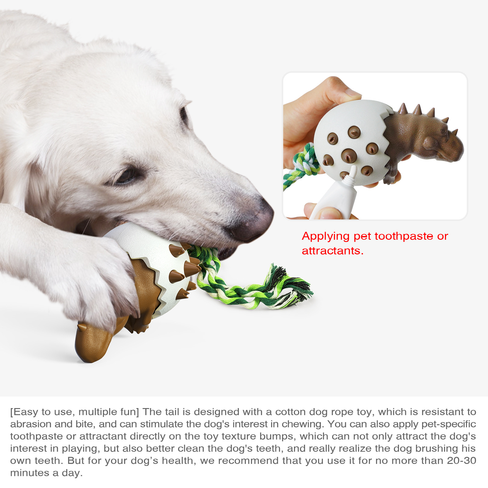عصا مضغ للكلاب على شكل بيضة دي - مراجعة Pet Dental Chew Toy وسعره