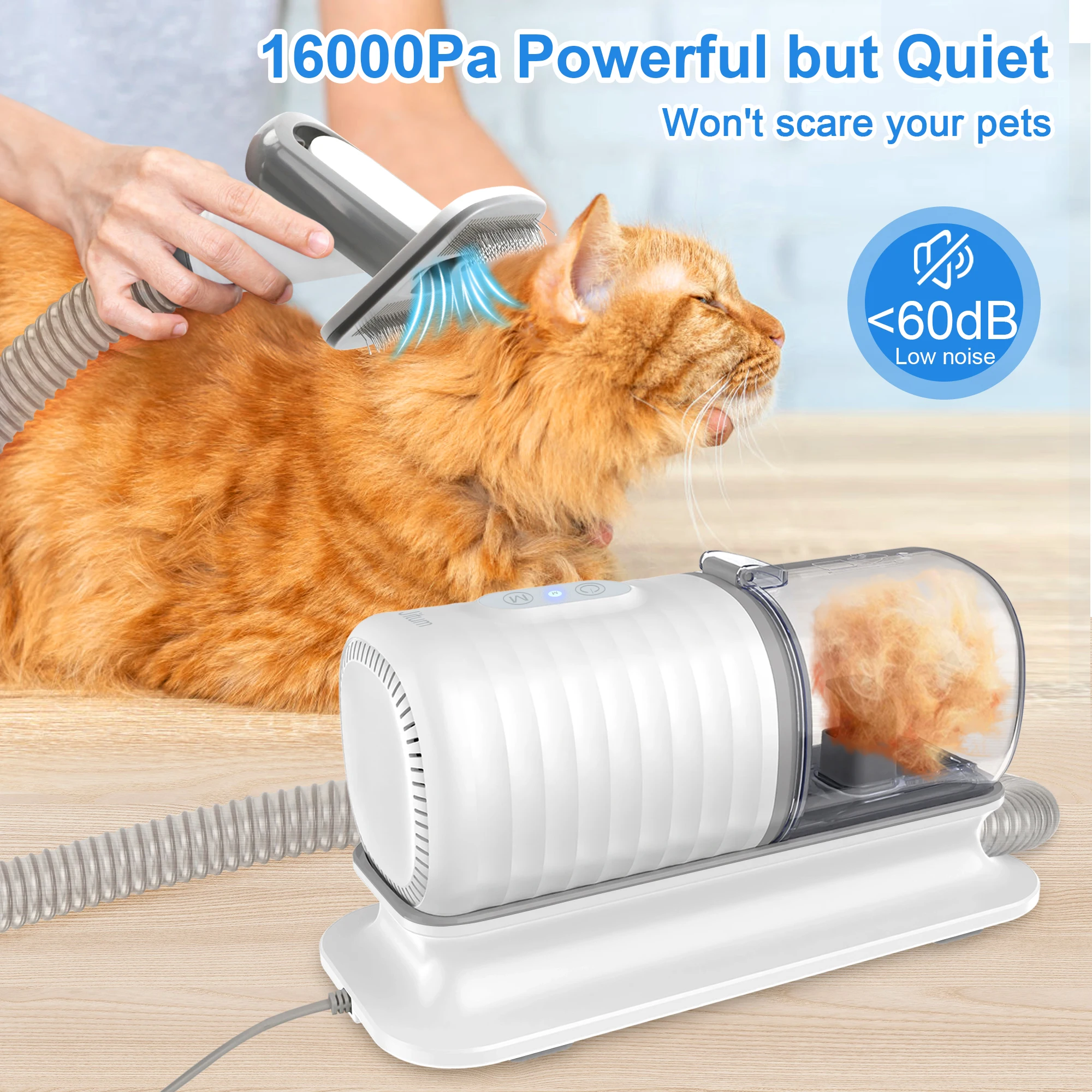 مجموعة فرش استحمام للكلاب، مست - مراجعة Pet Supplies In Store وسعره