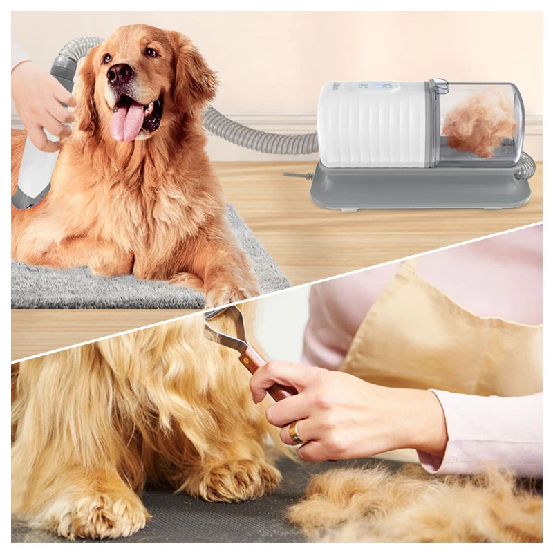 مجموعة فرش استحمام للكلاب، مست - مراجعة Pet Supplies In Store وسعره