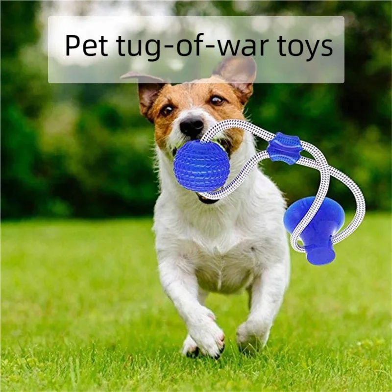 لعبة شفط متينة للكلاب، كرة مضغ - مراجعة Pet Dental Chew Toy وسعره