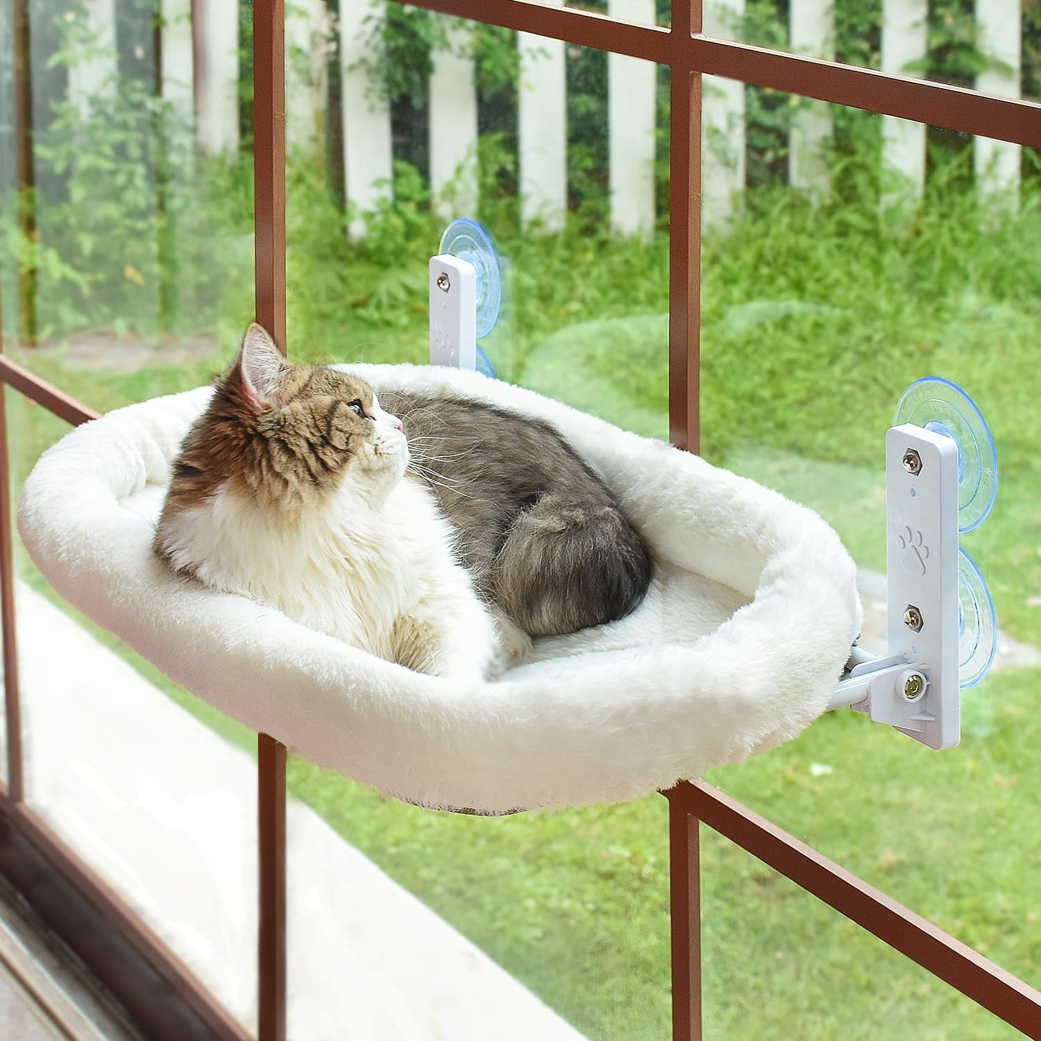 سرير معلق للقطط يثبت على الناف - مراجعة Cat Window Perch وسعره