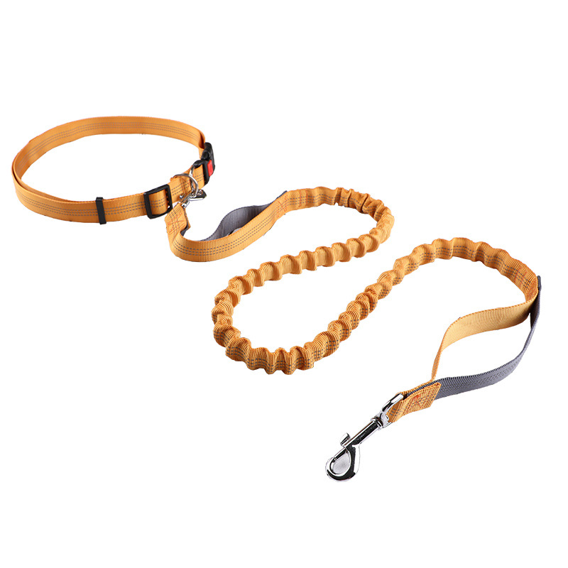 حبل توجيه الحيوانات الأليفة، ح - مراجعة Retractable Dog Leash وسعره