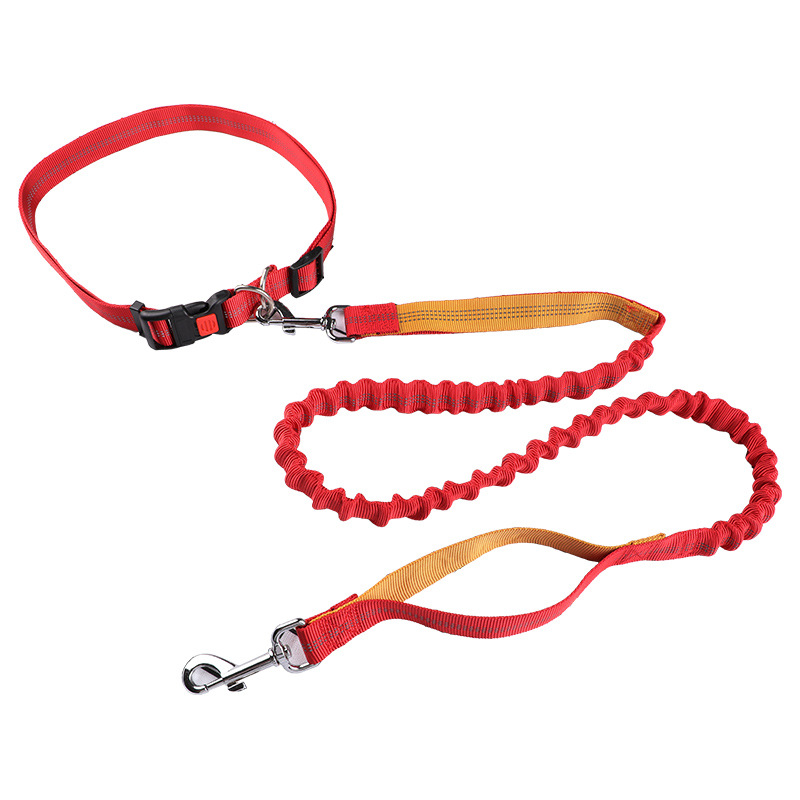 حبل توجيه الحيوانات الأليفة، ح - مراجعة Retractable Dog Leash وسعره