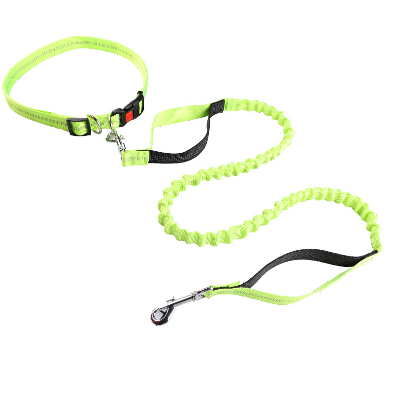 حبل توجيه الحيوانات الأليفة، ح - مراجعة Retractable Dog Leash وسعره
