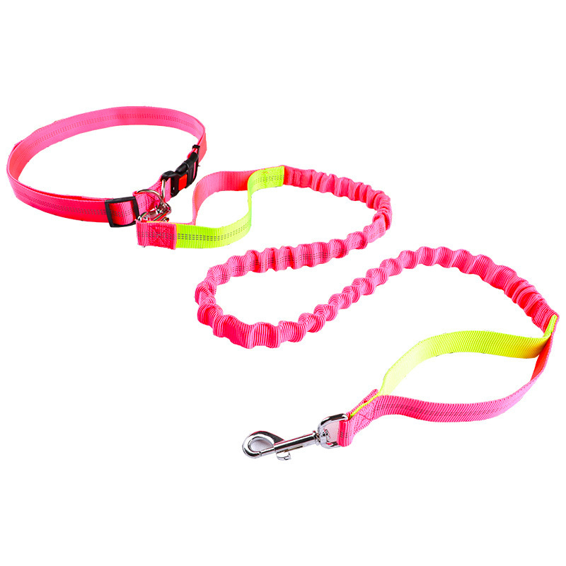 حبل توجيه الحيوانات الأليفة، ح - مراجعة Retractable Dog Leash وسعره