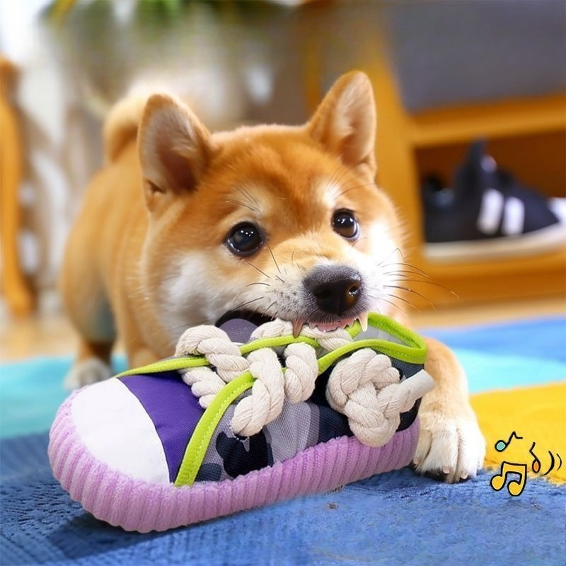 لعبة صرير للكلاب على شكل شبشب  - مراجعة Pet Dental Chew Toy وسعره